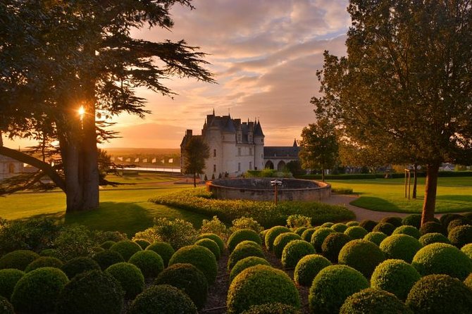 Paris to Loire Valley Chateau d'Amboise and Chinon Winery Tour Review