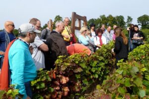 Champagne Private Tour to Reims Cathedral MOET&CHANDON and Tasting Review