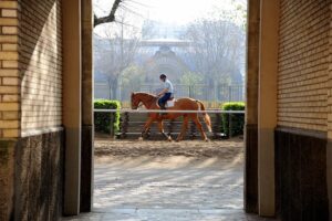 La Cavalerie de la Garde Républicaine - Quartier Célestins Review