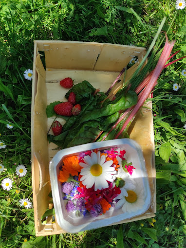 Strawberries and flowers Le Potager du Dauphin