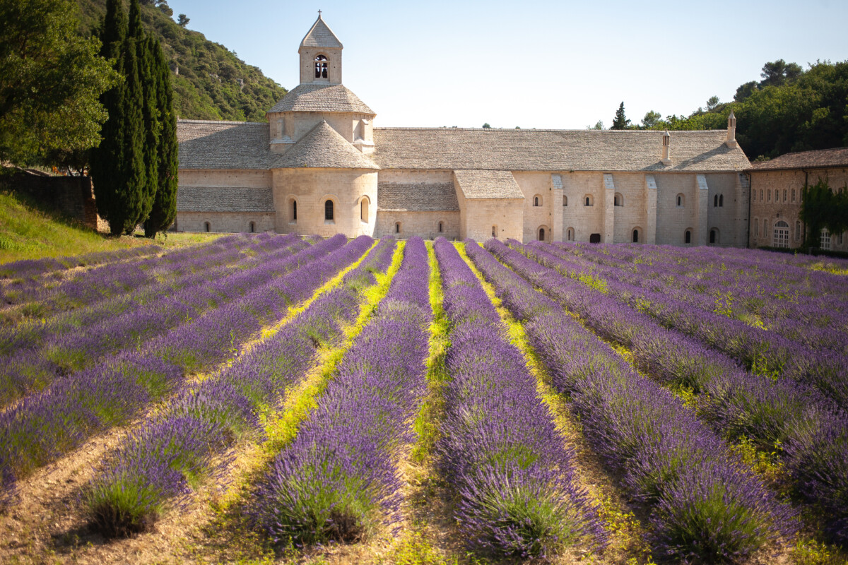 Abbaye Notre-Dame de Sénanque.