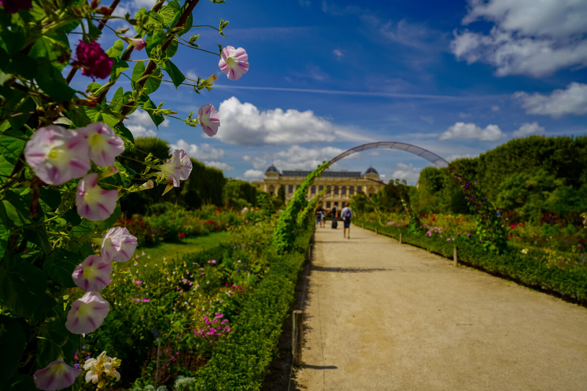 flowerbeds and beautiful french gardens in the Jardin Des Plantes .